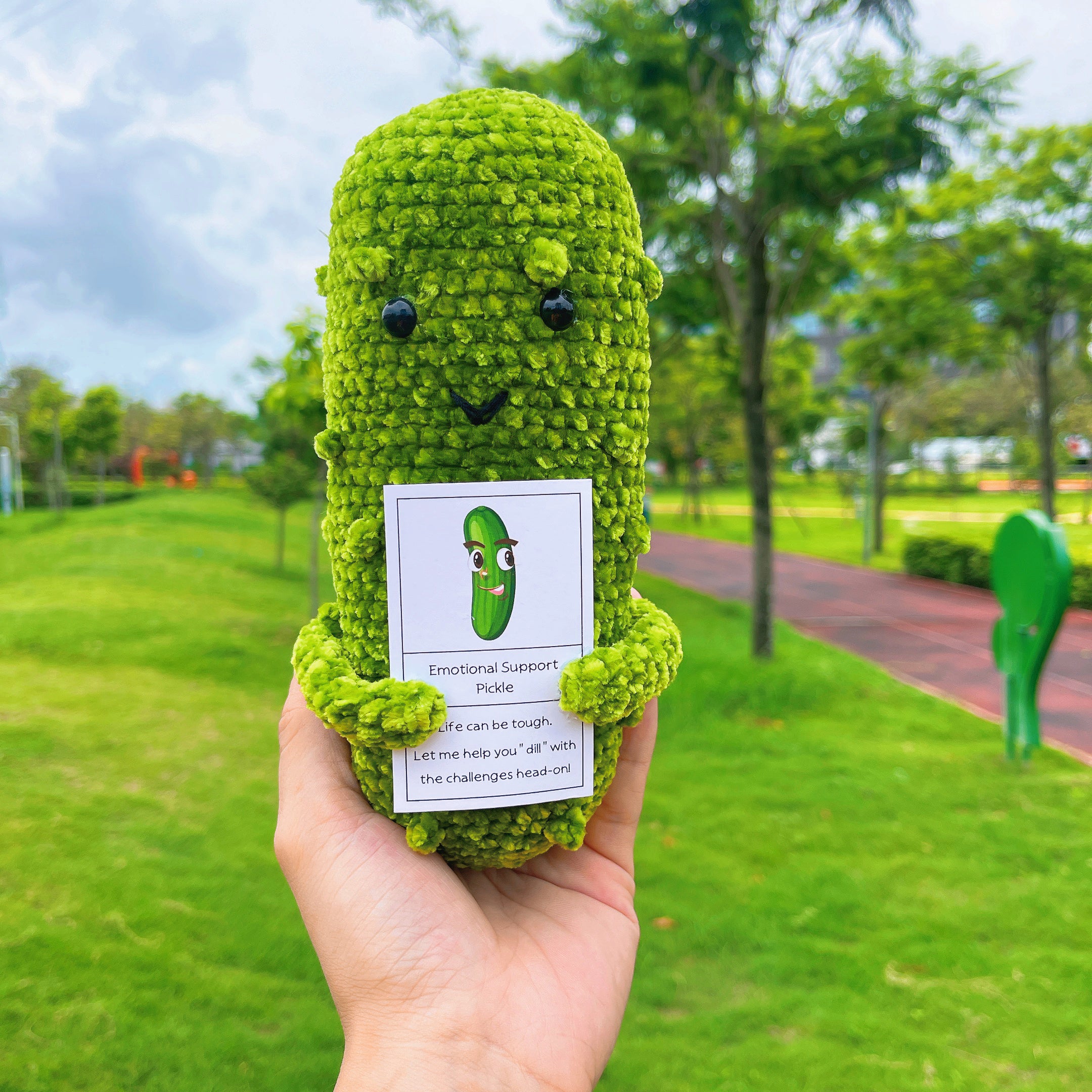 Pickle and Peanut Positive Support Friendship Crochet Set, Bromance, Baby Stroller, I Got You, Cowoker, Allergy