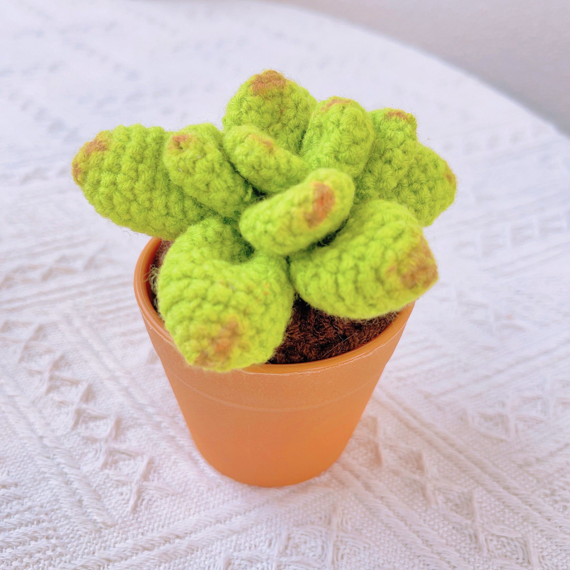 Hand-Crocheted Cheerful Potato Succulent Cactus Bicycle Décor - Unique Home Decoration Centerpiece Birthday Gift Desk Workspace