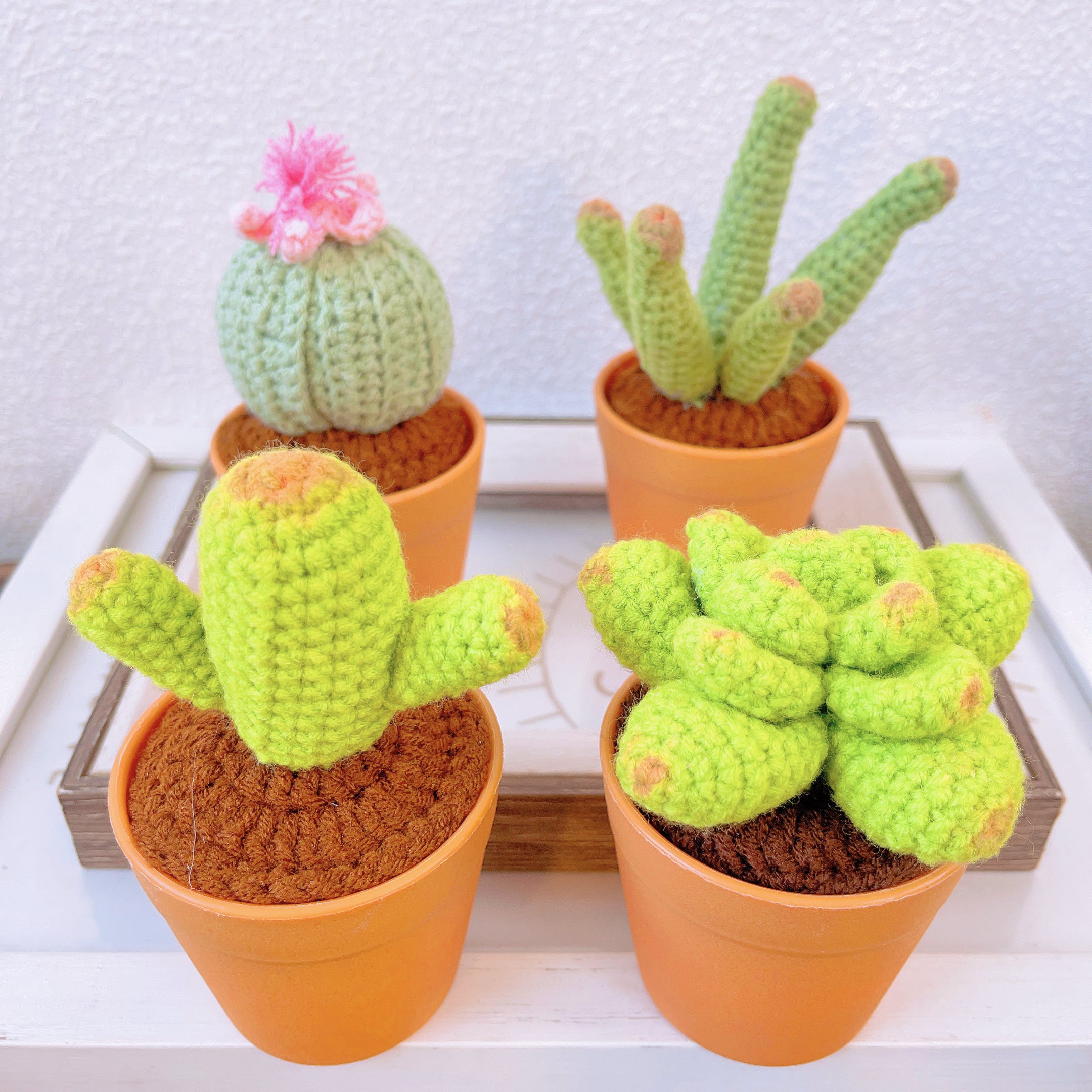 Hand-Crocheted Cheerful Potato Succulent Cactus Bicycle Décor - Unique Home Decoration Centerpiece Birthday Gift Desk Workspace