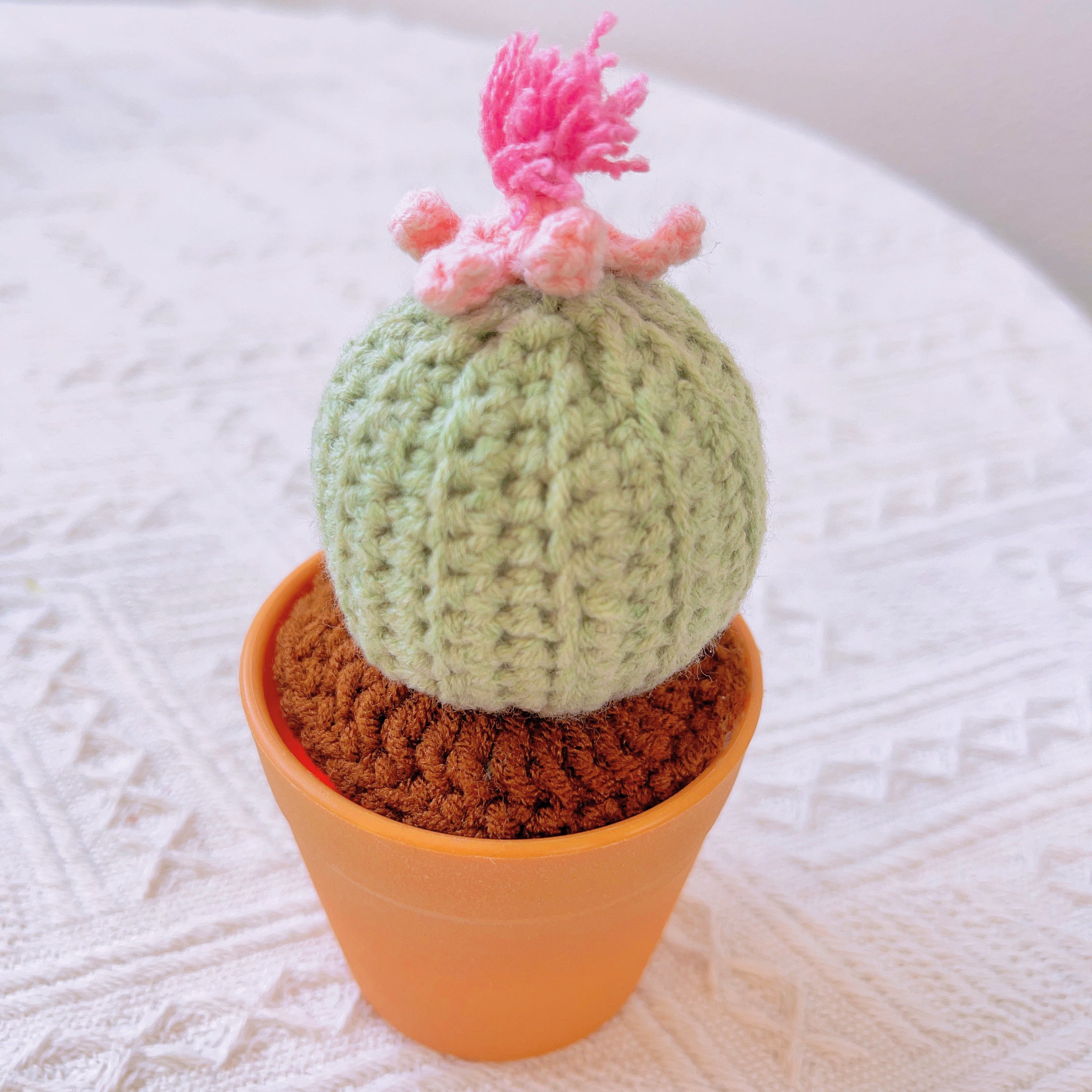 Hand-Crocheted Cheerful Potato Succulent Cactus Bicycle Décor - Unique Home Decoration Centerpiece Birthday Gift Desk Workspace
