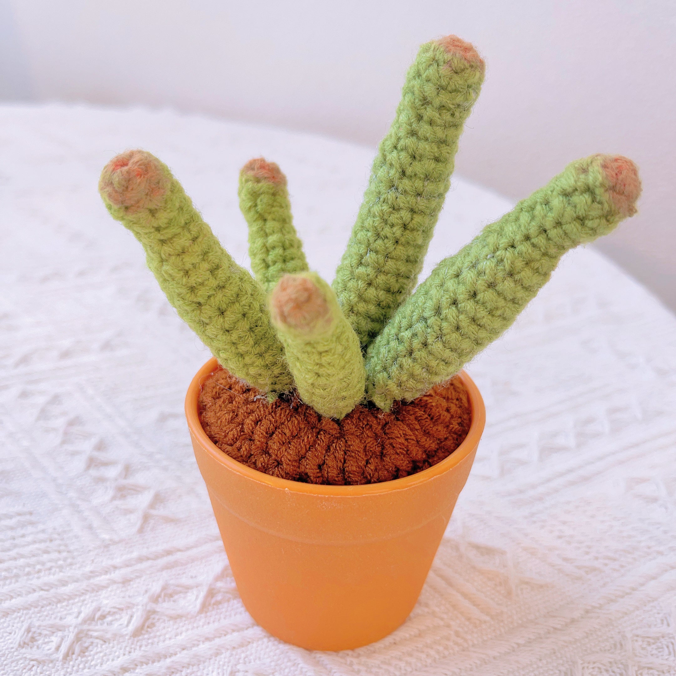 Hand-Crocheted Cheerful Potato Succulent Cactus Bicycle Décor - Unique Home Decoration Centerpiece Birthday Gift Desk Workspace