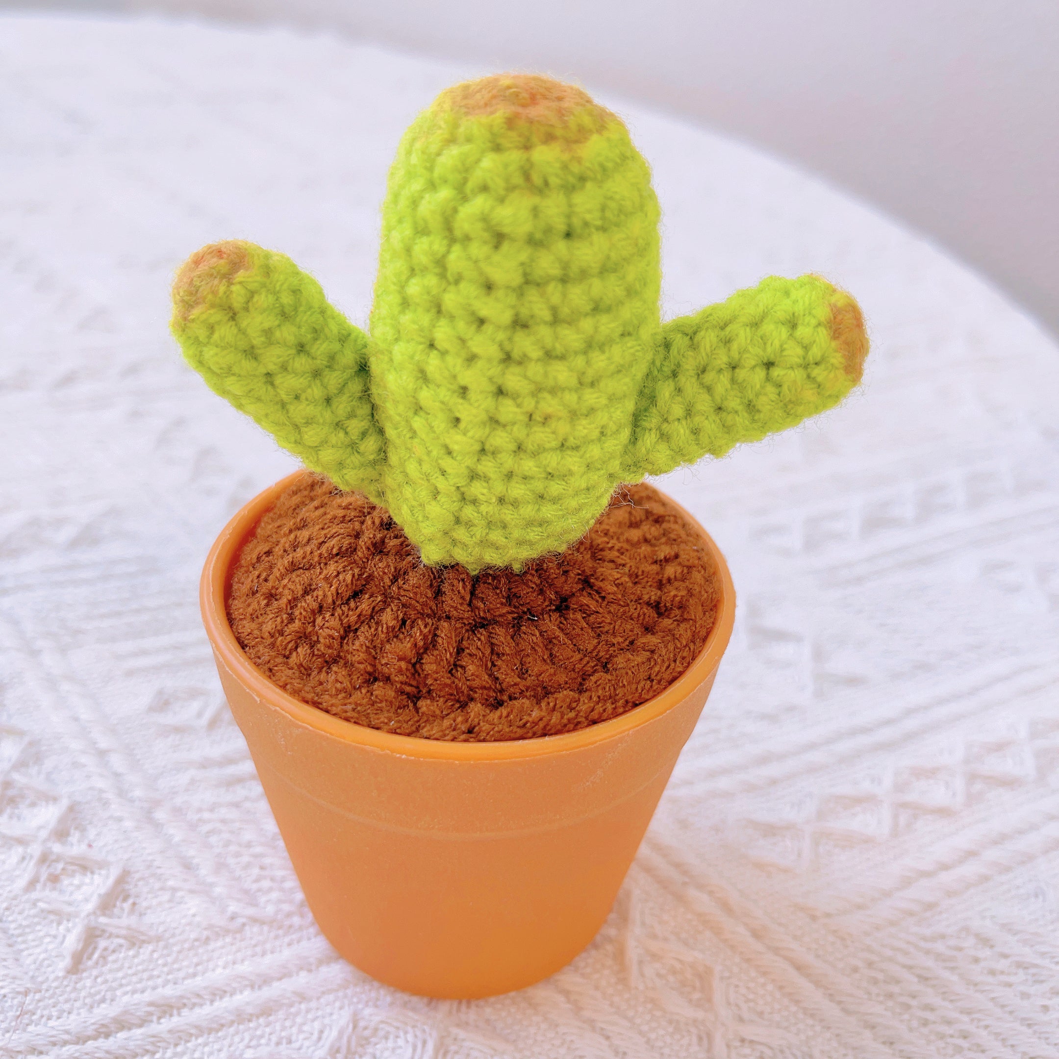 Hand-Crocheted Cheerful Potato Succulent Cactus Bicycle Décor - Unique Home Decoration Centerpiece Birthday Gift Desk Workspace