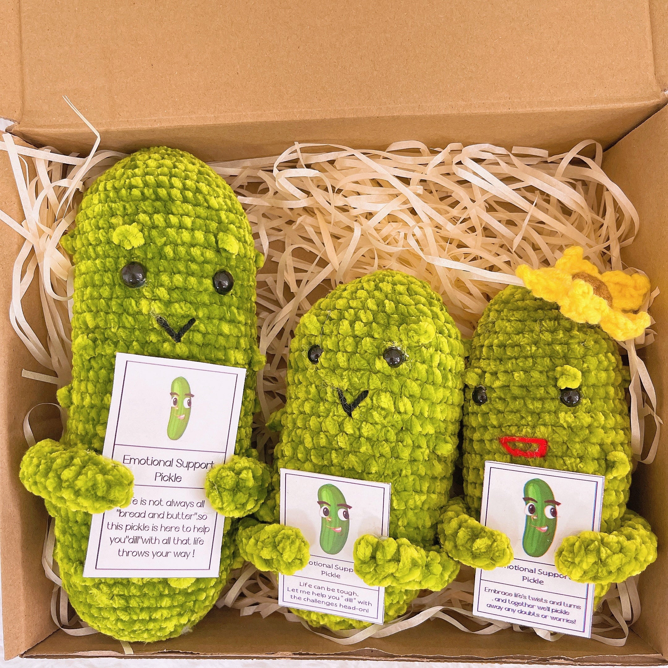 Custom Text Emotional Support Pickles for Bundle Set Get Well Handmade Positive Gift for Pickle Lover Stay Happy Motivated New Year Resolution Gift Exchange Family Giving