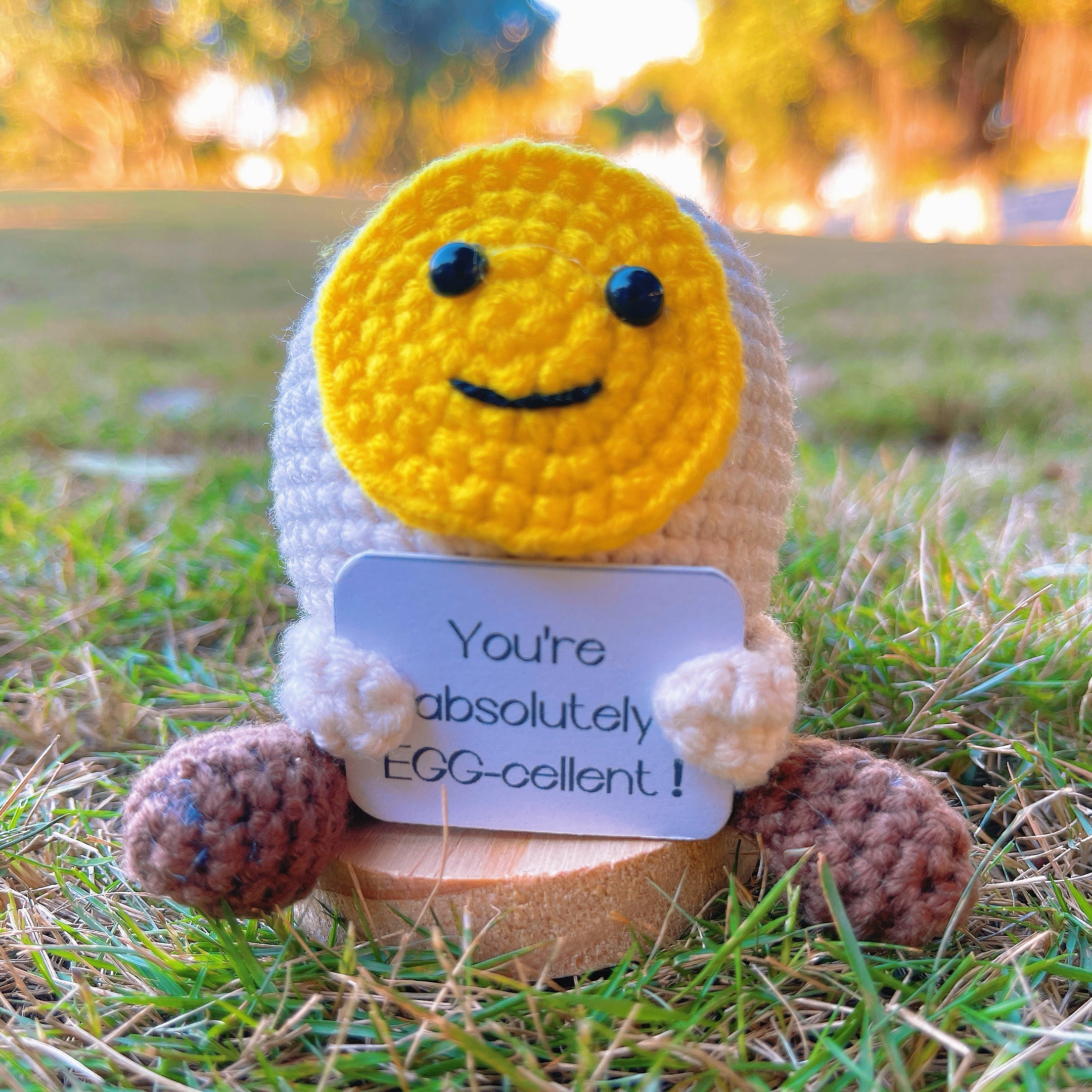 Custom Text Positive Crochet Egg - Handmade Boiled Egg with "You're Absolutely EGG-cellent!" Card, Easter, Birthdays, Inspiring Uplifting