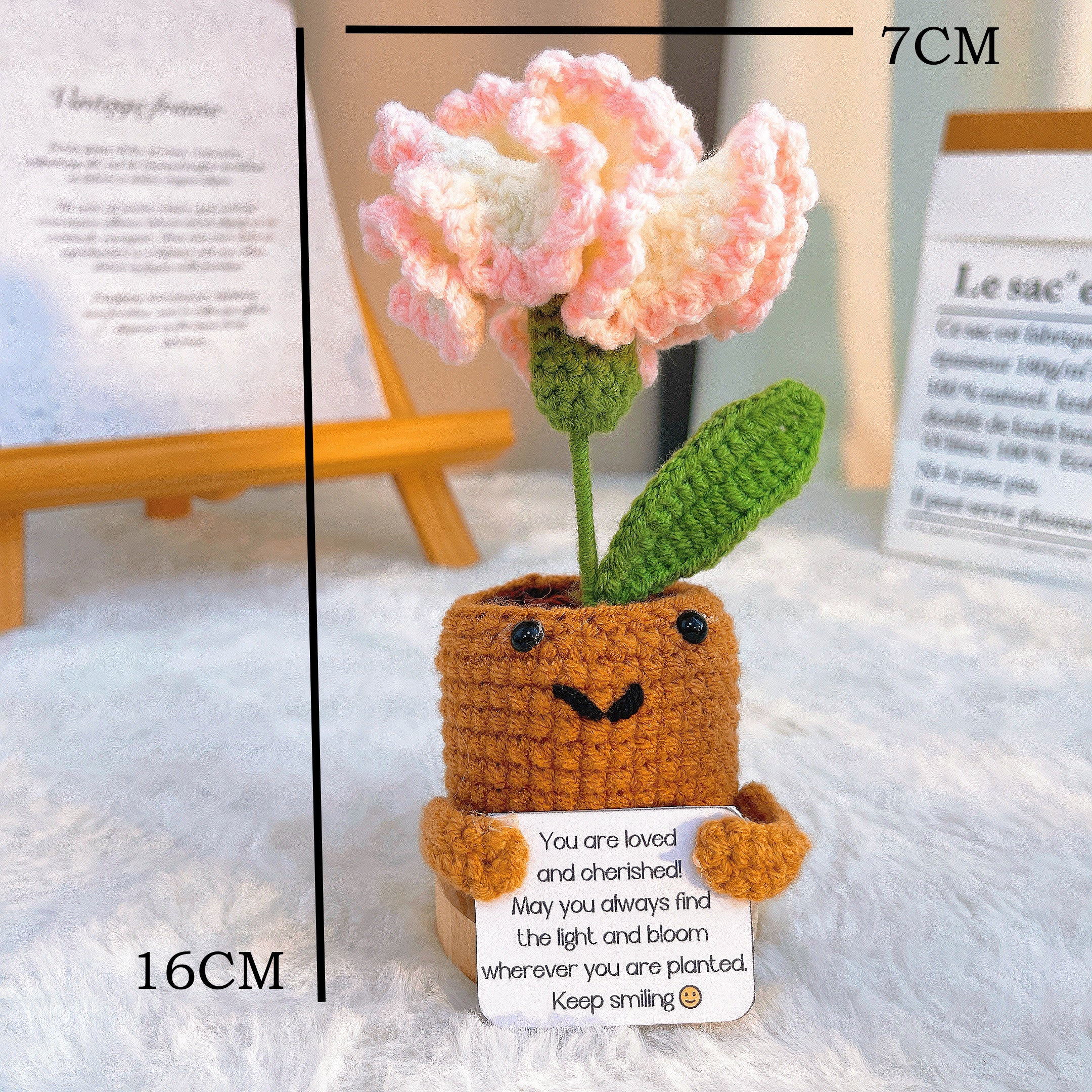 January Birth Month Carnation Bouquet - Birthday Flower Celebration Hand-Crocheted Single Stem Bouquet