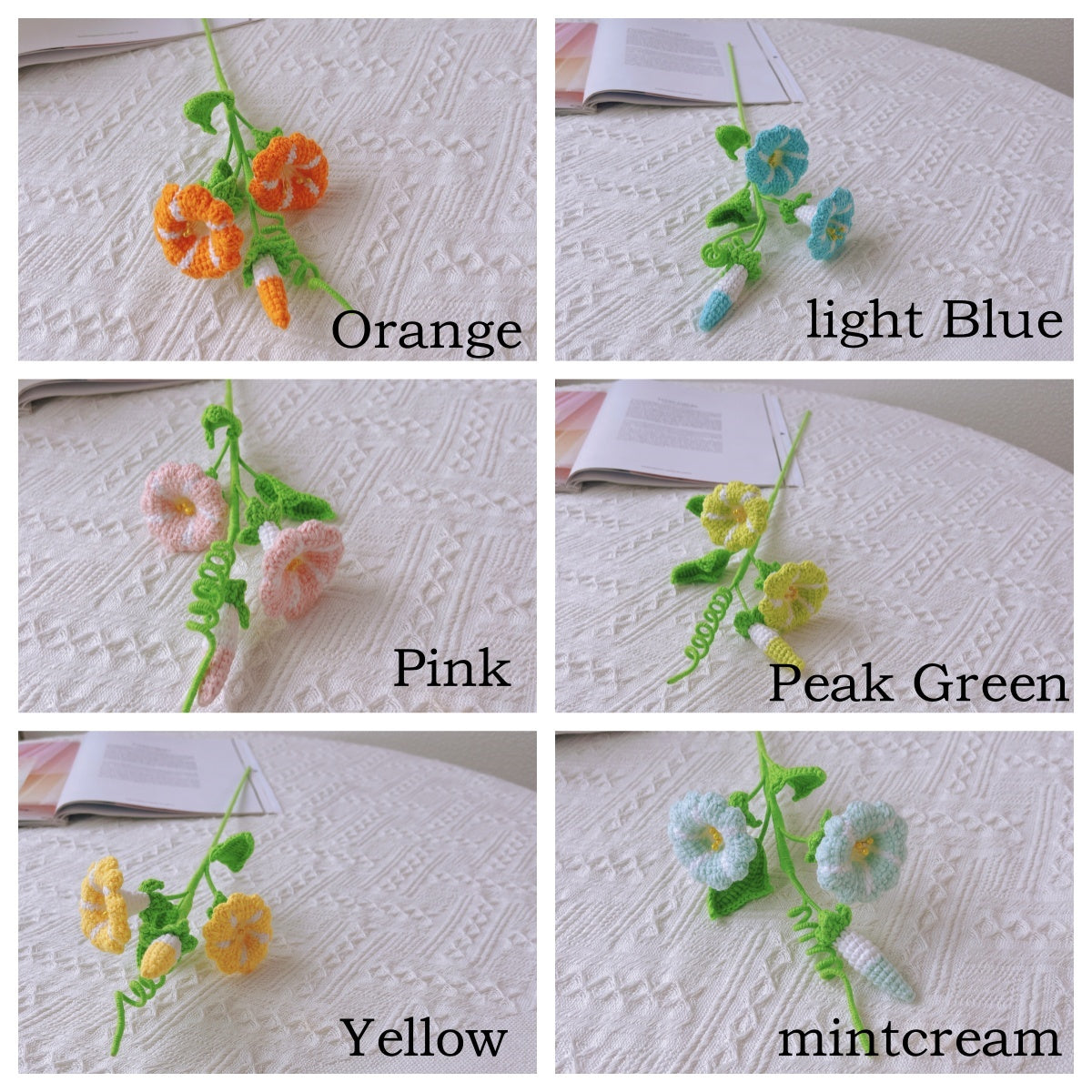 September Birth Month Flower Morning Glory with Custom Message Planter, Hypoallergenic Gift for Birthday, Autumn Decor, Desk Ornament