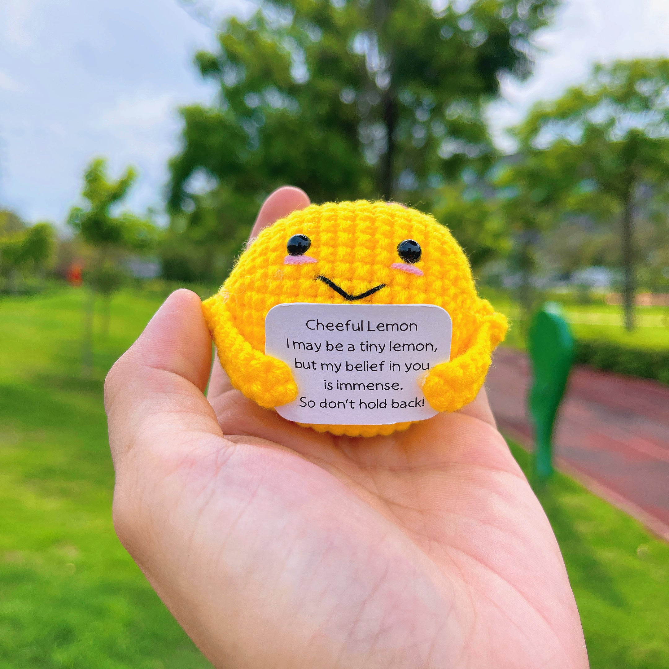 Personalized Text Crochet Emotional Support Pickle Poo Lemon Nugget - Birthday Get Well Recovery Surgery Stress Relief Gifts