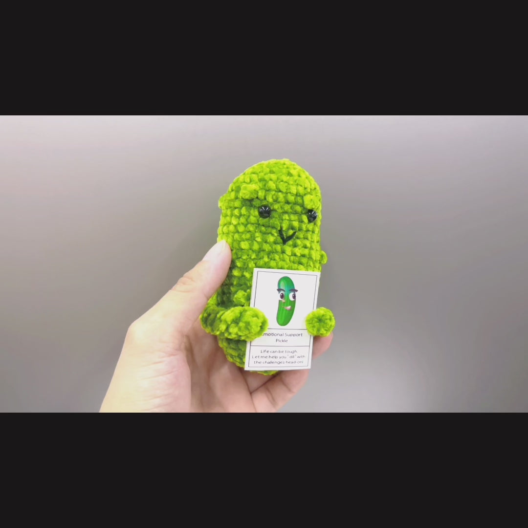 Handcrafted Crochet Supportive Pickle and Blossomed Pot Bundle Set (Custom / Personalized Text Available) - Surgery Recovery Get Well Soon Hospitalization Post Care Congrats Cute Birthday Gift